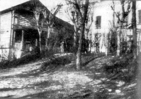 13. Каретник.jpg
